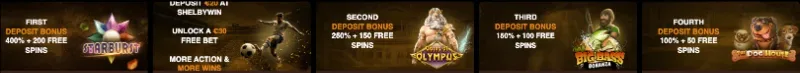 ShelbyWin-bonuses.webp